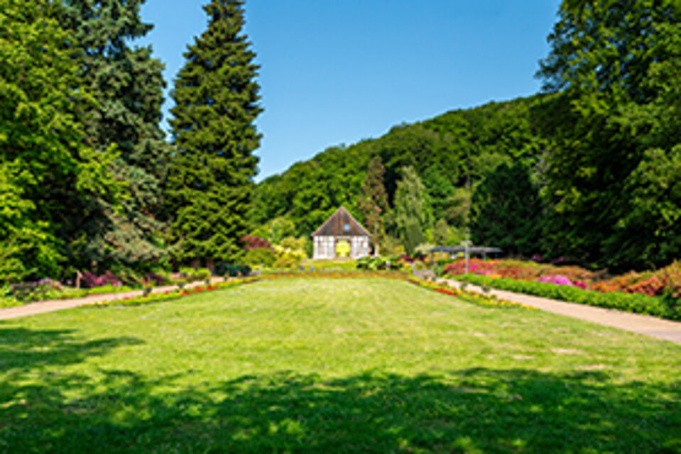 Obere Lutter Obere Lutter