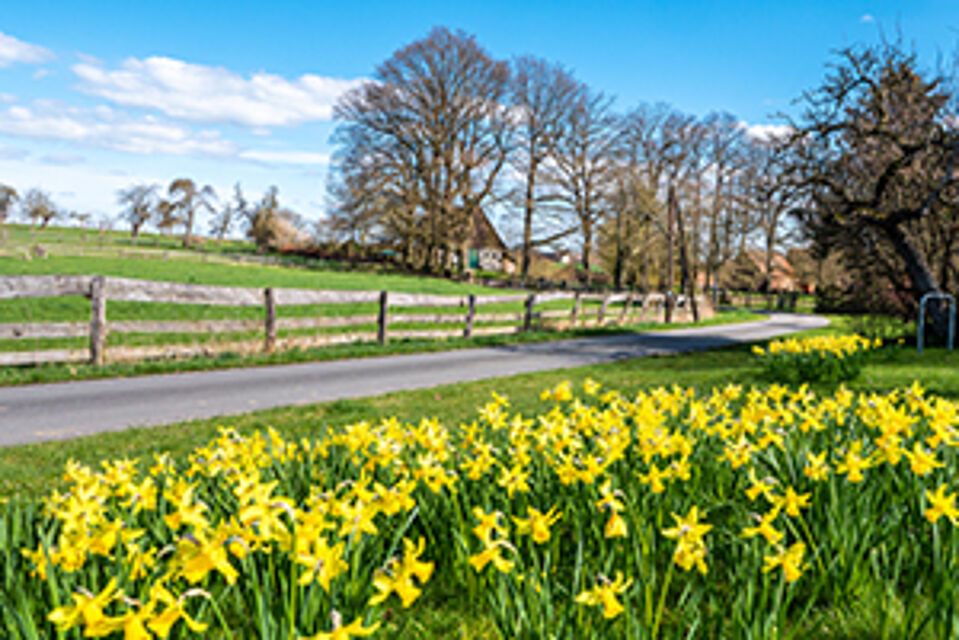 Wicklinghausen Wicklinghausen